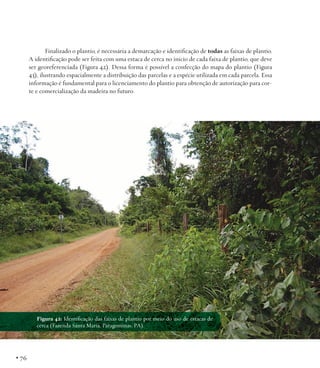 Finalizado o plantio, é necessária a demarcação e identificação de todas as faixas de plantio.
A identificação pode ser feita com uma estaca de cerca no início de cada faixa de plantio, que deve
ser georeferenciada (Figura 42). Dessa forma é possível a confecção do mapa do plantio (Figura
43), ilustrando espacialmente a distribuição das parcelas e a espécie utilizada em cada parcela. Essa
informação é fundamental para o licenciamento do plantio para obtenção de autorização para corte e comercialização da madeira no futuro.

Figura 42: Identificação das faixas de plantio por meio do uso de estacas de
cerca (Fazenda Santa Maria, Paragominas, PA).

• 76

 