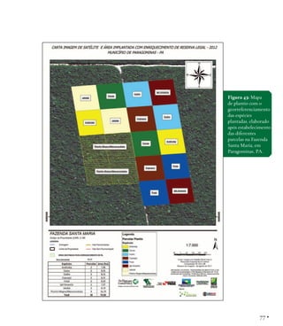 Figura 43: Mapa
de plantio com o
georreferenciamento
das espécies
plantadas, elaborado
após estabelecimento
das diferentes
parcelas na Fazenda
Santa Maria, em
Paragominas, PA.

77 •

 