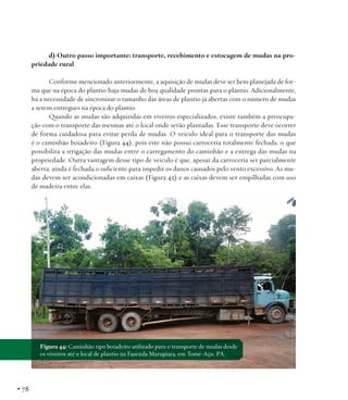 d) Outro passo importante: transporte, recebimento e estocagem de mudas na propriedade rural
Conforme mencionado anteriormente, a aquisição de mudas deve ser bem planejada de forma que na época do plantio haja mudas de boa qualidade prontas para o plantio. Adicionalmente,
há a necessidade de sincronizar o tamanho das áreas de plantio já abertas com o número de mudas
a serem entregues na época do plantio.
Quando as mudas são adquiridas em viveiros especializados, existe também a preocupação com o transporte das mesmas até o local onde serão plantadas. Esse transporte deve ocorrer
de forma cuidadosa para evitar perda de mudas. O veículo ideal para o transporte das mudas
é o caminhão boiadeiro (Figura 44), pois este não possui carroceria totalmente fechada, o que
possibilita a irrigação das mudas entre o carregamento do caminhão e a entrega das mudas na
propriedade. Outra vantagem desse tipo de veículo é que, apesar da carroceria ser parcialmente
aberta, ainda é fechada o suficiente para impedir os danos causados pelo vento excessivo. As mudas devem ser acondicionadas em caixas (Figura 45) e as caixas devem ser empilhadas com uso
de madeira entre elas.

Figura 44: Caminhão tipo boiadeiro utilizado para o transporte de mudas desde
os viveiros até o local de plantio na Fazenda Marupiara, em Tomé-Açu, PA.

• 78

 