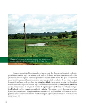 Figura 2: Área de preservação permanente sem remanescente
em fazenda de pecuária no município de Tomé-Açu, PA.

Os danos ao meio ambiente causados pela conversão das florestas na Amazônia podem ser
percebidos sob vários aspectos. A extração de madeira de forma predatória põe em risco de extinção muitas espécies vegetais e animais que dependem da floresta, muitas das quais sequer foram
ainda identificadas cientificamente, quanto mais seus possíveis benefícios de uso para o próprio
homem. Dessa forma, podemos dizer que a biodiversidade é gravemente afetada. Esse fato é bastante relevante na região amazônica, região mundialmente conhecida pela megabiodiversidade,
ou seja, pela existência de um grande número de espécies que só podem ser encontradas na região
(endêmicas), espécies raras e ameaçadas de extinção (Myers et al., 2000). Estas características
fazem da Amazônia uma área prioritária à conservação da biodiversidade, onde muitas espécies
poderão ser usadas economicamente pelo homem para a produção de remédios, cosméticos, madeira, frutos, etc.

•8

 