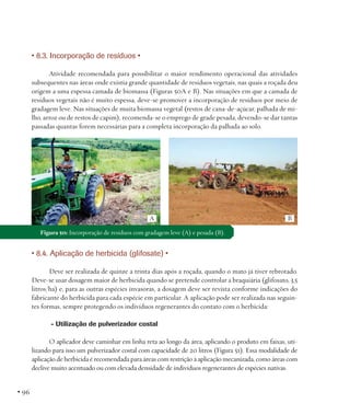 • 8.3. Incorporação de resíduos •
Atividade recomendada para possibilitar o maior rendimento operacional das atividades
subsequentes nas áreas onde existia grande quantidade de resíduos vegetais, nas quais a roçada deu
origem a uma espessa camada de biomassa (Figuras 50A e B). Nas situações em que a camada de
resíduos vegetais não é muito espessa, deve-se promover a incorporação de resíduos por meio de
gradagem leve. Nas situações de muita biomassa vegetal (restos de cana-de-açúcar, palhada de milho, arroz ou de restos de capim), recomenda-se o emprego de grade pesada, devendo-se dar tantas
passadas quantas forem necessárias para a completa incorporação da palhada ao solo.

A

B

Figura 50: Incorporação de resíduos com gradagem leve (A) e pesada (B).

• 8.4. Aplicação de herbicida (glifosate) •
Deve ser realizada de quinze a trinta dias após a roçada, quando o mato já tiver rebrotado.
Deve-se usar dosagem maior de herbicida quando se pretende controlar a braquiária (glifosato, 3,5
litros/ha) e, para as outras espécies invasoras, a dosagem deve ser revista conforme indicações do
fabricante do herbicida para cada espécie em particular. A aplicação pode ser realizada nas seguintes formas, sempre protegendo os indivíduos regenerantes do contato com o herbicida:
- Utilização de pulverizador costal
O aplicador deve caminhar em linha reta ao longo da área, aplicando o produto em faixas, utilizando para isso um pulverizador costal com capacidade de 20 litros (Figura 51). Essa modalidade de
aplicação de herbicida é recomendada para áreas com restrição à aplicação mecanizada, como áreas com
declive muito acentuado ou com elevada densidade de indivíduos regenerantes de espécies nativas.

• 96

 