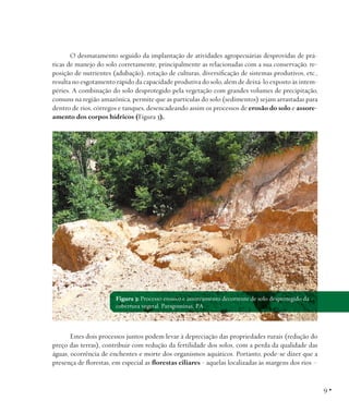 O desmatamento seguido da implantação de atividades agropecuárias desprovidas de práticas de manejo do solo corretamente, ...