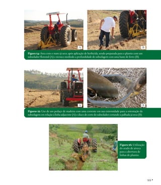 Manual de restauração florestal