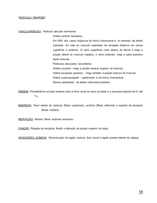 18
“MÚSCULO TRAPÉZIO”
VASCULARIZAÇÃO: Pedículo vascular dominante:
Artéria cervical transversa.
Em 80% dos casos origina-se do tronco tireocervical e, no restante, da artéria
subclávia. Ao nível do músculo levantador da omoplata divide-se em ramos
superficial e profundo. O ramo superficial corre abaixo da fáscia e irriga a
porção lateral do músculo trapézio, o ramo profundo, irriga a parte posterior
deste músculo.
Pedículos vasculares secundários:
Artéria occipital – irriga a porção cervical superior do músculo.
Artéria escapular posterior – irriga também a porção torácica do músculo.
Artéria supra-escapular – geralmente si do tronco tireocervical.
Ramos perfurantes da artéria intercostal posterior.
ORIGEM: Protuberância occiptal externa junto à linha nucal do osso occipital e o processo espinho de C7 até
T12.
INSERÇÃO: Terço lateral da clavícula (fibras superiores), acrômio (fibras inferiores) e espinha da escápula
(fibras mediais).
INERVAÇÃO: Motora: Nervo espinhal acessório..
FUNÇÃO: Rotação da escápula, flexão e abdução da porção superior do braço.
APLICAÇÕES CLÍNICAS: Reconstrução da região cervical, forro bucal e região postero-lateral da cabeça.
 