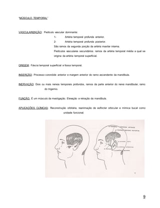 9
“MÚSCULO TEMPORAL”
VASCULARIZAÇÃO: Pedículo vascular dominante:
1- Artéria temporal profunda anterior.
2- Artéria temporal profunda posterior.
São ramos da segunda porção da artéria maxilar interna.
Pedículos vasculares secundários: ramos da artéria temporal média a qual se
origina da artéria temporal superficial.
ORIGEM: Fáscia temporal superficial e fossa temporal.
INSERÇÃO: Processo coronóide anterior e margem anterior do ramo ascendente da mandíbula.
INERVAÇÃO: Dois ou mais nervos temporais profundos, ramos da parte anterior do nervo mandibular, ramo
do trigemio.
FUNÇÃO: É um músculo da mastigação. Elevação e retração da mandíbula.
APLICAÇÕES CLÍNICAS: Reconstrução orbitária, reanimação de esfíncter orbicular e mímica bucal como
unidade funcional.
 