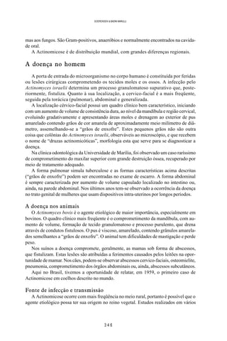 3 4 6
SOERENSEN & BADINI MARULLI
mas aos fungos. São Gram-positivos, anaeróbios e normalmente encontrados na cavida-
de oral.
A Actinomicose é de distribuição mundial, com grandes diferenças regionais.
A doença no homem
A porta de entrada do microorganismo no corpo humano é constituída por feridas
ou lesões cirúrgicas comprometendo os tecidos moles e os ossos. A infecção pelo
Actinomyces israelii determina um processo granulomatoso supurativo que, poste-
riormente, fistuliza. Quanto à sua localização, a cervico-facial é a mais freqüente,
seguida pela torácica (pulmonar), abdominal e generalizada.
A localização cérvico-facial possui um quadro clínico bem característico, iniciando
com um aumento de volume de consistência dura, ao nível da mandíbula e região cervical,
evoluindo gradativamente e apresentando áreas moles e drenagem ao exterior de pus
amarelado contendo grãos de cor amarela de aproximadamente meio milímetro de diâ-
metro, assemelhando-se a “grãos de enxofre”. Estes pequenos grãos não são outra
coisa que colônias do Actinomyces israelii, observáveis ao microscópio, e que recebem
o nome de “druzas actinomicóticas”, morfologia esta que serve para se diagnosticar a
doença.
Na clínica odontológica da Universidade de Marília, foi observado um caso raríssimo
de comprometimento do maxilar superior com grande destruição óssea, recuperado por
meio de tratamento adequado.
A forma pulmonar simula tuberculose e as formas características acima descritas
(“grãos de enxofre”) podem ser encontradas no exame de escarro. A forma abdominal
é sempre caracterizada por aumento de volume capsulado localizado no intestino ou,
ainda, na parede abdominal. Nos últimos anos tem-se observado a ocorrência da doença
no trato genital de mulheres que usam dispositivos intra-uterinos por longos períodos.
A doença nos animais
O Actinomyces bovis é o agente etiológico de maior importância, especialmente em
bovinos. O quadro clínico mais freqüente é o comprometimento da mandíbula, com au-
mento de volume, formação de tecido granulomatoso e processo purulento, que drena
através de condutos fistulosos. O pus é viscoso, amarelado, contendo grânulos amarela-
dos semelhantes a “grãos de enxofre”. O animal tem dificuldades de mastigação e perde
peso.
Nos suínos a doença compromete, geralmente, as mamas sob forma de abscessos,
que fistulizam. Estas lesões são atribuídas a ferimentos causados pelos leitões na opor-
tunidade de mamar. Nos cães, podem-se observar abscessos cervico-faciais, osteomielite,
pneumonia, comprometimento dos órgãos abdominais ou, ainda, abscessos subcutâneos.
Aqui no Brasil, tivemos a oportunidade de relatar, em 1959, o primeiro caso de
Actinomicose em coelhos descrito no mundo.
Fonte de infecção e transmissão
A Actinomicose ocorre com mais freqüência no meio rural, portanto é possível que o
agente etiológico possa ter sua origem no reino vegetal. Estudos realizados em vários
 