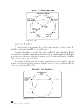 3.5.2. Ciclo do carbono 
A matéria orgânica, carbonatada dos excretas ou de animais e vegetais mortos, de-compõe 
produzindo gás carbônico ou carbonatos. 
Durante o dia, pela presença dos raios solares, a clorofila entra em ação e o dióxido 
de carbono é assimilado formando carboidratos, que se transformarão em gorduras e 
proteínas. À noite as plantas , durante o seu processo de respiração, absorvem o oxigênio 
(O2) e liberam o gás carbônico (CO2). 
Os animais, se alimentando de produtos vegetais, transformam a matéria orgânica 
vegetal em animal, produzindo resíduos. Quando morrem, fecha-se o ciclo da vida e da 
morte em relação ao carbono (C). 
162 Fundação Nacional de Saúde 
Figura 77 – Ciclo do nitrogênio 
Fonte: Dacach, 1990. 
Figura 78 – Ciclo do carbono 
Fonte: Dacach, 1990. 
 