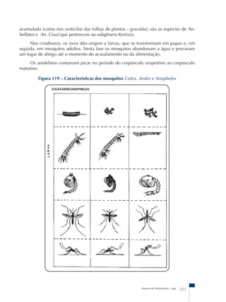 acumulada (como nos verticilos das folhas de plantas - gravatás); são as espécies de An. 
bellator e An. Cruzi que pertencem ao subgênero Kertizia. 
Nos criadouros, os ovos dão origem a larvas, que se transformam em pupas e, em 
seguida, em mosquitos adultos. Nesta fase os mosquitos abandonam a água e procuram 
um lugar de abrigo até o momento do acasalamento ou da alimentação. 
Os anofelinos costumam picar no período do crepúsculo vespertino ao crepúsculo 
Manual de Saneamento – pag. 301 
matutino. 
Figura 119 – Características dos mosquitos Culex, Aedes e Anopheles 
 