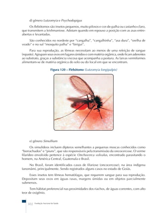 d) gênero Lutzomyia e Psychodopigus 
Os flebótomos são insetos pequenos, muito pilosos e cor-de-palha ou castanho-claro, 
que transmitem a leishmaniose. Adotam quando em repouso a posição com as asas entre-abertas 
e levantadas. 
São conhecidos no nordeste por “cangalha”, “cangalhinha”, “asa dura”, “orelha de 
veado” e no sul “mosquito palha” e “birigui”. 
Para sua reprodução, as fêmeas necessitam ao menos de uma refeição de sangue 
(repasto). Agrupam seus ovos em lugares úmidos e com matéria orgânica, onde ficam aderentes 
ao substrato, graças a substância viscosa que acompanha a postura. As larvas vermiformes 
alimentam-se de matéria orgânica do solo ou do local em que se encontram. 
Figura 120 – Flebótomo (Lutzomyia longipalpis) 
e) gênero Simullium 
Os simulídeos incluem dípteros semelhantes a pequenas moscas conhecidos como 
“borrachudos” e “piuns”, que são responsáveis pela transmissão da oncocercose. O verme 
filarídeo envolvido pertence à espécie Onchocerca volvulus, encontrado parasitando o 
homem, na América Central, Guatemala e Brasil. 
No Brasil, foram identificados casos de filariose (oncocercose), na área indìgena 
Ianomâmi, principalmente. Sendo registrados alguns casos no estado de Goiás. 
Esses insetos tem fêmeas hematófagas, que requerem sangue para sua reprodução. 
Depositam seus ovos em águas rasas, margens úmidas ou em objetos parcialmente 
submersos. 
Tem hábitat preferencial nas proximidades dos riachos, de águas correntes, com alto 
teor de oxigênio. 
302 Fundação Nacional de Saúde 
 
