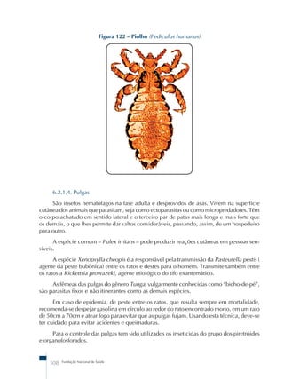 Figura 122 – Piolho (Pediculus humanus) 
6.2.1.4. Pulgas 
São insetos hematófagos na fase adulta e desprovidos de asas. Vivem na superfície 
cutânea dos animais que parasitam, seja como ectoparasitas ou como micropredadores. Têm 
o corpo achatado em sentido lateral e o terceiro par de patas mais longo e mais forte que 
os demais, o que lhes permite dar saltos consideráveis, passando, assim, de um hospedeiro 
para outro. 
A espécie comum – Pulex irritans – pode produzir reações cutâneas em pessoas sen-síveis. 
A espécie Xenopsylla cheopis é a responsável pela transmissão da Pasteurella pestis ( 
agente da peste bubônica) entre os ratos e destes para o homem. Transmite também entre 
os ratos a Rickettsia prowazeki, agente etiológico do tifo exantemático. 
As fêmeas das pulgas do gênero Tunga, vulgarmente conhecidas como “bicho-de-pé”, 
são parasitas fixos e não itinerantes como as demais espécies. 
Em caso de epidemia, de peste entre os ratos, que resulta sempre em mortalidade, 
recomenda-se despejar gasolina em círculo ao redor do rato encontrado morto, em um raio 
de 50cm a 70cm e atear fogo para evitar que as pulgas fujam. Usando esta técnica, deve-se 
ter cuidado para evitar acidentes e queimaduras. 
Para o controle das pulgas tem sido utilizados os inseticidas do grupo dos piretróides 
e organofosforados. 
308 Fundação Nacional de Saúde 
 