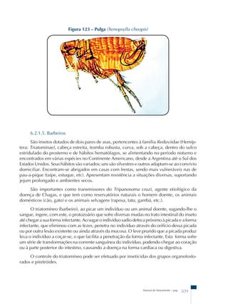 Figura 123 – Pulga (Xenopsylla cheopis) 
6.2.1.5. Barbeiros 
São insetos dotados de dois pares de asas, pertencentes à família Reduviidae (Hemíp-tera: 
Triatominae), cabeça estreita, tromba robusta, curva, sob a cabeça, dentro do sulco 
estridulado do prosterno e de hábitos hematófagos, se alimentando no período noturno e 
encontrados em várias espécies no Continente Americano, desde a Argentina até o Sul dos 
Estados Unidos. Seus hábitos são variados; uns são silvestres e outros adaptam-se ao convívio 
domiciliar. Encontram-se abrigados em casas com frestas, sendo mais vulneráveis nas de 
pau-a-pique (taipe, estuque, etc). Apresentam resistência a situações diversas, suportando 
jejum prolongado e ambientes secos. 
São importantes como transmissores do Tripanosoma cruzi, agente etiológico da 
doença de Chagas, e que tem como reservatórios naturais o homem doente, os animais 
domésticos (cão, gato) e os animais selvagens (raposa, tatu, gambá, etc.). 
O triatomíneo (barbeiro), ao picar um indivíduo ou um animal doente, sugando-lhe o 
sangue, ingere, com este, o protozoário que sofre diversas mudas no trato intestinal do inseto 
até chegar a sua forma infectante. Ao sugar o indivíduo sadio defeca próximo à picada e a forma 
infectante, que eliminou com as fezes, penetra no indivíduo através do orifício dessa picada 
ou por outra lesão existente ou ainda através da mucosa. O leve prurido que a picada produz 
leva o indivíduo a coçar-se, o que facilita a penetração da forma infectante. Esta forma sofre 
um série de transformações na corrente sanguínea do indivíduo, podendo chegar ao coração 
ou à parte posterior do intestino, causando a doença na forma cardíaca ou digestiva. 
O controle do triatomíneo pode ser efetuado por inseticidas dos grupos organofosfo-rados 
e piretróides. 
Manual de Saneamento – pag. 309 
 