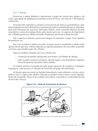 6.2.1.7. Baratas 
Pertencem à ordem Blattaria e representam o grupo de insetos mais antigos e de 
maior capacidade de adaptação encontrado na face da Terra, com mais de 3.500 espécies 
conhecidas. 
As baratas têm importância sanitária na transmissão de doenças gastrintestinais, quer 
pelo transporte mecânico de bactérias e parasitas da matéria contaminada para os alimentos, 
quer pela eliminação de suas fezes infectadas. Podem, ainda, transmitir doenças do trato 
respiratório e outras de contágio direto, pelo mesmo processo. As espécies de importância 
são a Blattela germanica, Blatta orientalis, Periplaneta americana e Blatta brunella. 
Sob o aspecto econômico, provocam estragos em alimentos, roupas, livros, bebidas 
Manual de Saneamento – pag. 311 
fermentáveis, etc. 
Seu ciclo evolutivo é adulto-ovo-ninfa. A barata jovem é semelhante à adulta sendo 
apenas menor que esta. A fêmea deposita as cápsulas portadoras de ovos sobre as paredes 
ou frestas, que eclodem após 38 a 49 dias. 
Algumas medidas eficientes para seu controle são: 
- construção de prédios apropriados sem frestas e facilidades de abrigos; 
- todas as partes acessíveis à limpeza, ralos de esgoto, caixa de gordura e inspeção, 
convenientemente sifonadas e bem vedadas. 
O controle químico é prejudicado pela rápida aquisição de resistência. Entretanto, 
emprega-se, com sucesso, as soluções de inseticidas do grupo dos piretróides. 
As baratas apreciam muito os líquidos fermentáveis, especialmente a cerveja; assim, 
pode-se fazer a captura dos adultos colocado-se produto como o bórax, nesses líquidos, 
dentro de recipientes. Deve-se ter cuidado com o bórax, marcando-o e o deixando fora do 
alcance das crianças. 
Figura 126 – Modo de transmissão de doenças 
 