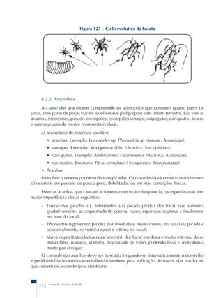 Figura 127 – Ciclo evolutivo da barata 
6.2.2. Aracnídeos 
A classe dos aracnídeos compreende os artrópodos que possuem quatro pares de 
patas, dois pares de peças bucais (quelíceras e pedipalpos) e de hábito terrestre. São eles as 
aranhas, escorpiões, pseudo-escorpiões, escorpiões vinagre, salpúgidos, carrapatos, ácaros 
e outros grupos de menor representatividade. 
a) aracnídeos de interesse sanitário 
• aranhas. Exemplo: Loxosceles sp, Phoneutria sp (Aranae: Araneidae); 
• sarcopta. Exemplo: Sarcoptes scabiei (Acarina: Sarcopitidae); 
• carrapatos. Exemplo: Amblyomma cajanneense (Acarina: Acaroidae); 
• escorpiões. Exemplo: Tityus serrulatus ( Scorpiones: Scorpionidae); 
• Aranhas 
Inoculam o veneno por meio de suas picadas. Os casos fatais são raros e assim mesmo 
só ocorrem em pessoas de pouco peso, debilitadas ou em más condições físicas. 
Entre as aranhas que causam acidentes com maior freqüência, as espécies que têm 
maior importância são as seguintes: 
- Loxosceles gaucho e L. intermédio: sua picada produz dor local, que aumenta 
gradativamente, acompanhada de edema, rubor, equimose regional e finalmente 
necrose do local; 
- Phoneutris nigriventer: produz dor imediata e muito intensa no local da picada e 
ocasionalmente, se verifica rubor e edema no local; 
- Viúva negra (Latrodectus curacariensis): dor local imediata e muito intensa, dores 
musculares, náuseas, vômitos, dificuldade de visão, podendo levar o indivíduo à 
morte por choque; 
O controle das aranhas deve ser buscado limpando-se sistematicamente o domicílio 
e peridomicílio (evitando-se entulhos) e também pela aplicação de inseticidas nos locais 
que servem de esconderijo e criadouro. 
312 Fundação Nacional de Saúde 
 