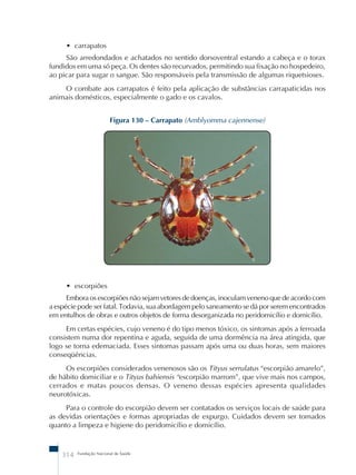 • carrapatos 
São arredondados e achatados no sentido dorsoventral estando a cabeça e o torax 
fundidos em uma só peça. Os dentes são recurvados, permitindo sua fixação no hospedeiro, 
ao picar para sugar o sangue. São responsáveis pela transmissão de algumas riquetsioses. 
O combate aos carrapatos é feito pela aplicação de substâncias carrapaticidas nos 
animais domésticos, especialmente o gado e os cavalos. 
Figura 130 – Carrapato (Amblyomma cajennense) 
• escorpiões 
Embora os escorpiões não sejam vetores de doenças, inoculam veneno que de acordo com 
a espécie pode ser fatal. Todavia, sua abordagem pelo saneamento se dá por serem encontrados 
em entulhos de obras e outros objetos de forma desorganizada no peridomicílio e domicílio. 
Em certas espécies, cujo veneno é do tipo menos tóxico, os sintomas após a ferroada 
consistem numa dor repentina e aguda, seguida de uma dormência na área atingida, que 
logo se torna edemaciada. Esses sintomas passam após uma ou duas horas, sem maiores 
conseqüências. 
Os escorpiões considerados venenosos são os Tityus serrulatus “escorpião amarelo”, 
de hábito domiciliar e o Tityus bahiensis “escorpião marrom”, que vive mais nos campos, 
cerrados e matas poucos densas. O veneno dessas espécies apresenta qualidades 
neurotóxicas. 
Para o controle do escorpião devem ser contatados os serviços locais de saúde para 
as devidas orientações e formas apropriadas de expurgo. Cuidados devem ser tomados 
quanto a limpeza e higiene do peridomicílio e domicílio. 
314 Fundação Nacional de Saúde 
 