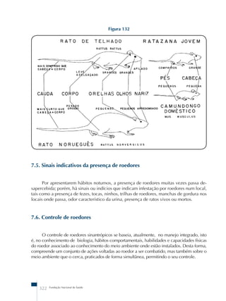 322 Fundação Nacional de Saúde 
Figura 132 
7.5. Sinais indicativos da presença de roedores 
Por apresentarem hábitos noturnos, a presença de roedores muitas vezes passa de-sapercebida; 
porém, há sinais ou indícios que indicam infestação por roedores num local, 
tais como a presença de fezes, tocas, ninhos, trilhas de roedores, manchas de gordura nos 
locais onde passa, odor característico da urina, presença de ratos vivos ou mortos. 
7.6. Controle de roedores 
O controle de roedores sinantrópicos se baseia, atualmente, no manejo integrado, isto 
é, no conhecimento de biologia, hábitos comportamentais, habilidades e capacidades físicas 
do roedor associado ao conhecimento do meio ambiente onde estão instalados. Desta forma, 
compreende um conjunto de ações voltadas ao roedor a ser combatido, mas também sobre o 
meio ambiente que o cerca, praticados de forma simultânea, permitindo o seu controle. 
 