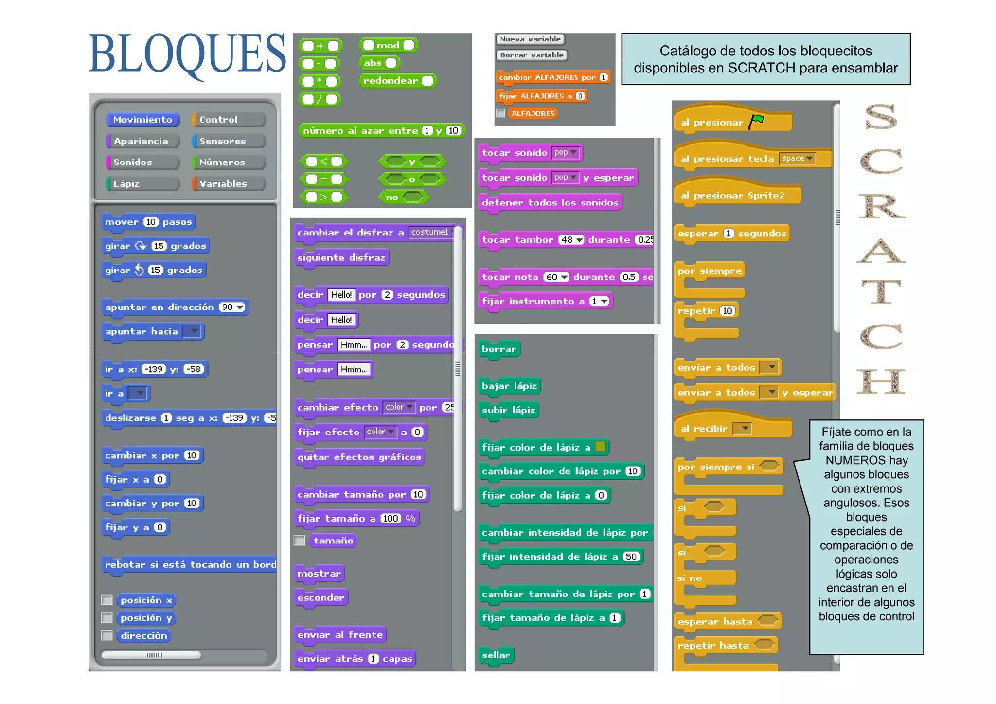 Catálogo de todos los bloquecitos
disponibles en SCRATCH para ensamblar




                          Fíjate como en la
                         familia de bloques
                           NUMEROS hay
                           algunos bloques
                            con extremos
                           angulosos. Esos
                               bloques
                            especiales de
                          comparación o de
                             operaciones
                             lógicas solo
                           encastran en el
                         interior de algunos
                         bloques de control
 