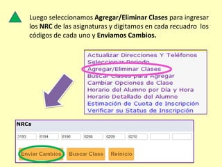 Luego seleccionamos Agregar/Eliminar Clases para ingresar
los NRC de las asignaturas y digitamos en cada recuadro los
códigos de cada uno y Enviamos Cambios.
 