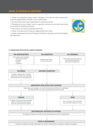 > Todos os recipientes devem estar rotulados. No caso do rótulo apresentar
sinais de degradação, proceder à sua substituição.
> Conhecimento dos riscos associados ao produto químico.
> Proibição de comer, beber, fumar ou guardar alimentos junto dos locais onde
se encontram produtos químicos.
> Não cheirar nem provar produtos químicos.
> Utilizar os produtos de limpeza e regeneração das mãos.
> Utilizar os Equipamentos de Protecção Individual indicados na Ficha de Dados
de Segurança.
MANUAL DE SEGURANÇA DA CARPINTARIA
ABSORÇÃO REALIZADA PELO SANGUE
FÍGADO
O fígado elemina certos produtos
tóxicos, transformando outros,
mas não pode eliminar alguns.
RINS
Os rins filtram certos detritos
que são eliminados na urina.
DISTRIBUIÇÃO ATRAVÉS DO SANGUE
O sangue transporta os tóxicos não eliminados ao resto do organismo.
PULMÕES
Irritação, destruição do tecido
pulmonar, fixação nos pulmões
prejudicando as trocas gasosas
Principal via de entrada
> Ar Condicionado
> Poeiras
> Gases
> Vapores
Penetração através da pele,
directamente através
de outras substâncias
TODO O ORGANISMO
SISTEMA DIGESTIVO
Sujidade das mãos
ou dos alimentos
3. PRINCIPAIS EFEITOS NO CORPO HUMANO
 
