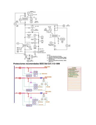 Protecciones recomendadas IEEE Std C37.113-1999
 