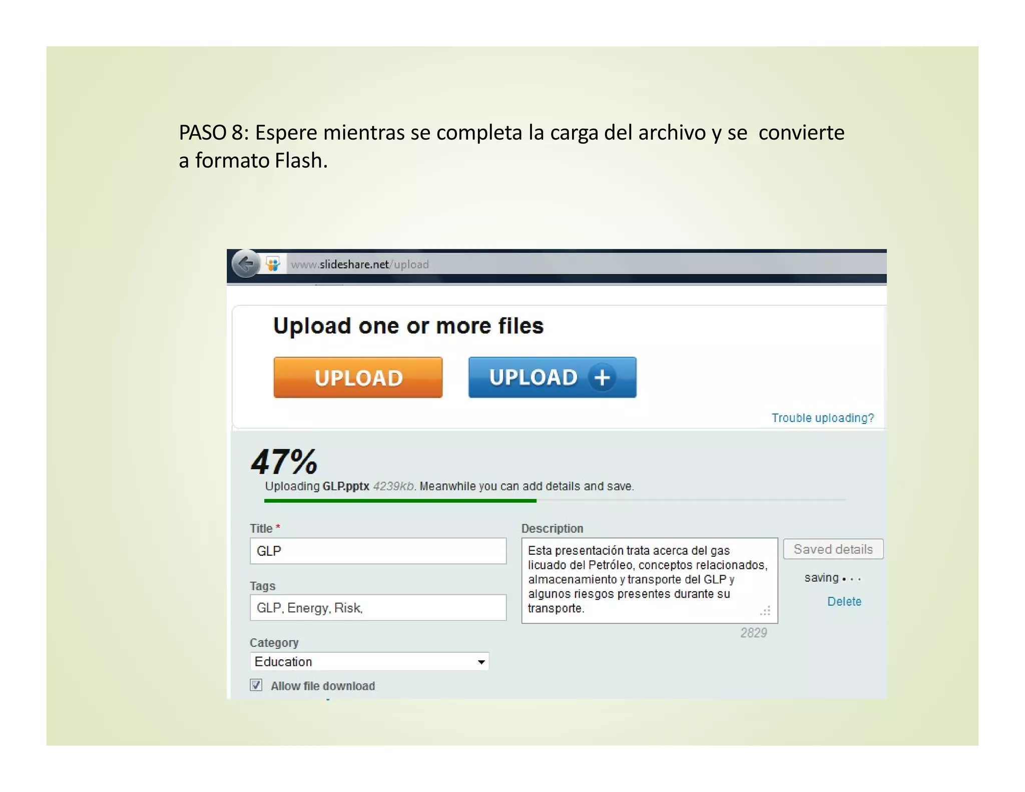 PASO 8: Espere mientras se completa la carga del archivo y se  convierte 
a formato Flash.
Manual para el uso educativode
 