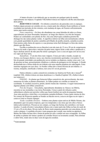 A batata silvestre é um tubérculo que se encontra em qualquer parte do mundo,
especialmente nos trópicos. 0 capitulo VII(«Sobrevivência nos trópicos») dá-lhe uma descrição
desta planta.
         REBENTOS E CAULES. - Os rebentos comestíveis são parecidos com os espargos.
Embora alguns possam ser comidos em cru, a maior parte dos rebentos ficam melhores se forem
escaldados por períodos de dez minutos, com mudança de água, até ficarem suficientemente
tenros para serem comidos.
         Fetos comestíveis. - Os fetos são abundantes nas zonas húmidas de todos os climas,
especialmente em áreas florestadas, barrancos, ao longo dos ribeiros e na orla dos bosques.
Podem ser confundidos com plantas de flor, mas uma observação cuidadosa permite-lhe
distingui-los das outras plantas verdes. A superfície inferior da folha está normalmente coberta
com grande quantidade de pontos castanhos polvilhados de poalha amarela, castanha ou preta.
Estes pontos estão cheios de esporos e a sua presença torna fácil distinguir os fetos das outras
plantas que dão flores.
         Escolha os pedúnculos novos (báculos) com não mais de 15 cm a 20 cm de comprimento.
Parta-os de modo a aproveitar o máximo da parte tenra; depois feche a mão sobre o pedúnculo e,
faça-o deslizar através da mão para lhe retirar a penugem. Lave e coza em água com sal ou coza
em vapor até ficar tenro.
         Samambaia. - É um dos fetos mais vulgares. Cresce por todo o mundo, excepto no
Árctico, nos bosques abertos e secos, nas clareiras recentemente queimadas e nos pastos. É um
feto de grande rusticidade com pedúnculos novos isolados ou dispersos, muitas vezes com 1 cm
de grossura na base, grosseiramente cilíndricos e cobertos de penugem cor de ferrugem. A fronde
desenrolada tem a forma nítida de um tridente com uma mancha purpúrea em cada ângulo. Estas
manchas segregam um suco doce. As frondes velhas têm a forma discreta de um tridente e o
rizoma, rastejante, ramificado e lenhoso, tem cerca 0,5 cm de grossura.

         Outros rebentos e caules comestíveis existentes na América do Norte são o mescal15
(capítulo VIII, «Sobrevivência em áreas desérticas») e o bambu (Capítulo VII, «Sobrevivência
nos trópicos»).
         FOLHAS. - As plantas que fornecem folhas comestíveis são, provavelmente, das mais
numerosas de todas as plantas alimentares. As folhas podem ser comidas ao natural ou
cozinhadas. A cozedura excessiva, porém, destrói muitas das vitaminas. A seguir mencionam-se
algumas plantas com folhas comestíveis:
         Feto dos bosques. - Esta planta, especialmente abundante no Alasca e na Sibéria,
encontra-se nas montanhas e nas terras florestadas. Cresce a partir de robustos caules
subterrâneos cobertos por pecíolos velhos que fazem lembrar um cacho de pequenas bananas.
Asse estes pecíolos e retire-lhes o revestimento castanho-brilhante. Coma a parte interna do feto.
No começo da Primavera apanhe as frondes ou báculos novos, coza-os em água ou em vapor e
coma-os como se fossem espargos.
         Azeda e azedinha silvestres. - Embora estas plantas sejam nativas do Médio Oriente, são
abundantes quer nos países tropicais, quer nos temperados e nas áreas que tem altos e baixos
índices pluviométricos. Procure-as nos campos, ao longo das bermas dos caminhos e em locais
incultos. A azeda silvestre é uma planta robusta com a maior parte das folhas na base do caule de
15 cm a 30 cm de altura. Dá um cacho de flores muito pequenas parecido com uma pluma, de cor
verde a púrpura. A azedinha silvestre é mais pequena que a azeda, mas similar na aparência.
Muitas das folhas da base têm a forma de pontas de seta e contêm um suco avinagrado. As folhas
de ambas as plantas são tenras e podem ser comidas frescas ou levemente cozidas. Para eliminar
o sabor forte, mude uma ou duas vezes de água da cozedura.
15
     Cacto mexicano




                                               118
 