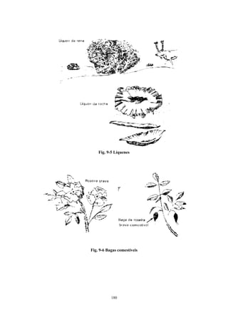Fig. 9-5 Líquenes




Fig. 9-6 Bagas comestíveis




           180
 