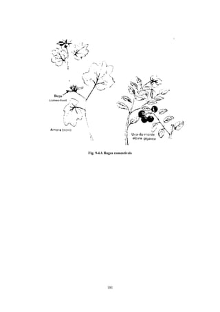 Fig. 9-6A Bagas comestíveis




           181
 