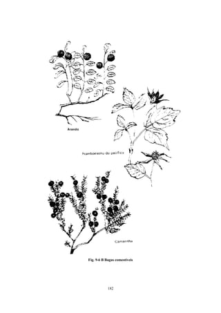 Fig. 9-6 B Bagas comestíveis




            182
 