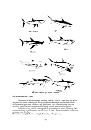 Fig. 10-2 Tubarões que atacam o homem

Peixes venenosos para comer

        Há centenas de peixes venenosos nas águas tropicais. Todavia, a maior parte dos peixes
venenosos têm muitas características físicas semelhantes. Geralmente, têm formas invulgares -
em forma de caixa ou quase esféricos -, pele dura (muitas vezes coberta de placas óssea; ou
espinhos), bocas finas, guelras pequenas e barbatanas ventrais pequenas ou inexistentes.
        Muitos dos peixes tropicais venenosos são descritos pelos seus nomes. 0 lamantim 3, por
exemplo, tem o dorso rígido, ossudo, parecido com o da vaca, e duas protuberâncias em forma de
cornos por cima dos olhos.
3
    O exemplo só tem significado com o nome inglês do lamantim, cowfish, peixe-vaca.



                                                       195
 
