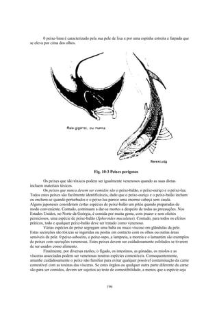 0 peixe-lima é caracterizado pela sua pele de lixa e por uma espinha estreita e farpada que
se eleva por cima dos olhos.




                                       Fig. 10-3 Peixes perigosos

         Os peixes que são tóxicos podem ser igualmente venenosos quando as suas dietas
incluem materiais tóxicos.
         Os peixes que nunca devem ser comidos são o peixe-balão, o peíxe-ouriço e o peixe-lua.
Todos estes peixes são facilmente identificáveis, dado que o peixe-ouriço e o peixe-balão incham
ou enchem-se quando perturbados e o peixe-lua parece uma enorme cabeça sem cauda.
Alguns japoneses consideram certas espécies de peixe-balão um pitéu quando preparadas de
modo conveniente. Contudo, continuam a dar-se mortes a despeito de todas as precauções. Nos
Estados Unidos, no Norte da Geórgia, é comida por muita gente, com prazer e sem efeitos
perniciosos, uma espécie de peixe-balão (Spheroides maculatus). Contudo, para todos os efeitos
práticos, todo e qualquer peixe-balão deve ser tratado como venenoso.
         Várias espécies de peixe segregam uma baba ou muco viscoso em glândulas da pele.
Estas secreções são tóxicas se ingeridas ou postas em contacto com os olhos ou outras áreas
sensíveis da pele. 0 peixe-saboeiro, o peixe-sapo, a lampreia, a moreia e o lamantim são exemplos
de peixes com secreções venenosas. Estes peixes devem ser cuidadosamente esfolados se tiverem
de ser usados como alimento.
         Finalmente, por diversas razões, o fígado, os intestinos, as gónadas, os miolos e as
vísceras associadas podem ser venenosas noutras espécies comestíveis. Consequentemente,
amanhe cuidadosamente o peixe não familiar para evitar qualquer possível contaminação da carne
comestível com as toxinas das vísceras. Se estes órgãos ou qualquer outra parte diferente da carne
são para ser comidos, devem ser sujeitos ao teste de comestibilidade, a menos que a espécie seja



                                               196
 