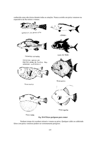 conhecida como não tóxica durante todas as estações. Nunca cozinhe um peixe venenoso na
expectativa de lhe retirar o veneno.




                               Fig. 10-4 Peixes perigosos para comer

         Nenhum tempo de cozedura retirará o veneno ao peixe. Qualquer caldo ou caldeirada
feitos com peixe venenoso podem ser extremamente perigosos.


                                             197
 