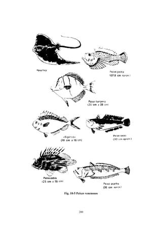 Fig. 10-5 Peixes venenosos




           200
 