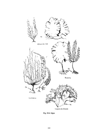 Liquen-da-Irlanda

Fig. 10-6 Algas




     209
 