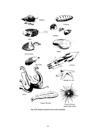 Fig. 10-8 Animais comestíveis das costas marinhas




                      211
 