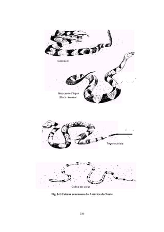 Fig. I-1 Cobras venenosas da América do Norte




                    230
 