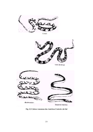 Fig. I-2 Cobras venenosas das Américas Central e do Sul




                         231
 