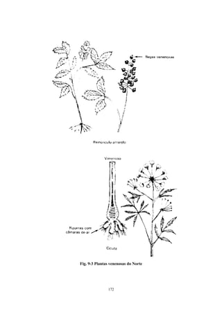 Fig. 9-3 Plantas venenosas do Norte




               172
 