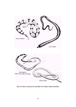 Fig. I-5 Cobras venenosas da Austrália, Nova Guiné e ilhas do Pacífico.




                                 241
 