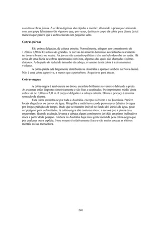 as outras cobras juntas. As cobras-tigrinas são rápidas a morder, dilatando o pescoço e atacando
com um golpe fulminante tão vigoroso que, por vezes, desloca o corpo da cobra para diante de tal
maneira que parece que a cobra executa um pequeno salto.

Cobras-pardas

        São cobras delgadas, de cabeça estreita. Normalmente, atingem um comprimento de
1,20m a 1,50 m. Os olhos são grandes. A cor vai do amarelo-luminoso ao castanho ou cinzento
no dorso e branco no ventre. As jovens são castanho-pálidas e têm um belo desenho em anéis. Há
cerca de uma dúzia de cobras aparentadas com esta, algumas das quais são chamadas «cobras-
chicote». A despeito do reduzido tamanho da cabeça, o veneno desta cobra é extremamente
violento.
        A cobra-parda está largamente distribuída na Austrália e aparece também na Nova-Guiné.
Não é uma cobra agressiva, a menos que a perturbem. Arqueia-se para atacar.

Cobras-negras

         A cobra-negra é azul-escura no dorso, escarlate-brilhante no ventre e debruada a preto.
As escamas estão dispostas simetricamente e são lisas e acetinadas. 0 comprimento médio desta
cobra vai de 1,80 m a 2,l0 m. 0 corpo é delgado e a cabeça estreita. Dilata o pescoço à mínima
sensação de alarme.
         Esta cobra encontra-se por toda a Austrália, excepto no Norte e na Tasmânia. Prefere
locais alagadiços ou cursos de água. Mergulha e nada bem e pode permanecer debaixo de água
por longos períodos de tempo. Dado que se mantém imóvel no fundo dos cursos de água, pode
ser perigosa para os banhistas. A cobra-negra não costuma atacar, a menos que a pisem ou a
encurralem. Quando excitada, levanta a cabeça alguns centímetros do chão em plano inclinado e
ataca a partir desta posição. Embora na Austrália haja mais gente mordida pela cobra-negra que
por qualquer outra espécie, 0 seu veneno é relativamente fraco e são muito poucas as vítimas
mortais da sua mordedura.




                                               240
 