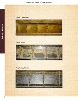 Manual de Destete a Engorda de PIC 
8 
Parte 2: Alimento 
Foto 5. Demasiado 
Foto 6. Justo 
Foto 7. Insuficiente 
 