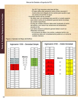 Manual de Destete a Engorda de PIC 
Parte 8. Cuidado Temprano de los Cerdos 
34 
lbs (22.7 kg) requieren esta tasa de flujo. 
• El agua debe estar goteando sobre el piso ranurado 6 
horas antes de la llegada de los cerdos para ayudar a que 
los cerdos encuentren el agua. 
• Inventario dentro de los corrales: 
- Se debe usar una estrategia para permitir un amplio espacio 
para retirar cerdos de la población general dentro de áreas 
de cuidado específicas. 
- El área de cuidado intensivo debe estar localizado al centro 
del edificio y así reducir las variaciones de temperatura 
durante el día. 
- Los retiros desde la población general deben ocurrir en 
diferentes momentos: 
• Al momento de alojar a los cerdos, cualquier lechón con 
problemas debe ser inmediatamente puesto en un corral de 
cuidado intensivo. 
Figura 2. Ejemplo de Mapa del Edificio 
 