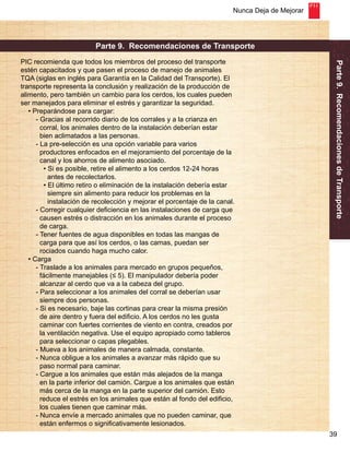 Nunca Deja de Mejorar 
Parte 9. Recomendaciones de Transporte 
39 
Parte 9. Recomendaciones de Transporte 
PIC recomienda que todos los miembros del proceso del transporte 
estén capacitados y que pasen el proceso de manejo de animales 
TQA (siglas en inglés para Garantía en la Calidad del Transporte). El 
transporte representa la conclusión y realización de la producción de 
alimento, pero también un cambio para los cerdos, los cuales pueden 
ser manejados para eliminar el estrés y garantizar la seguridad. 
• Preparándose para cargar: 
- Gracias al recorrido diario de los corrales y a la crianza en 
corral, los animales dentro de la instalación deberían estar 
bien aclimatados a las personas. 
- La pre-selección es una opción variable para varios 
productores enfocados en el mejoramiento del porcentaje de la 
canal y los ahorros de alimento asociado. 
• Si es posible, retire el alimento a los cerdos 12-24 horas 
antes de recolectarlos. 
• El último retiro o eliminación de la instalación debería estar 
siempre sin alimento para reducir los problemas en la 
instalación de recolección y mejorar el porcentaje de la canal. 
- Corregir cualquier deficiencia en las instalaciones de carga que 
causen estrés o distracción en los animales durante el proceso 
de carga. 
- Tener fuentes de agua disponibles en todas las mangas de 
carga para que así los cerdos, o las camas, puedan ser 
rociados cuando haga mucho calor. 
• Carga 
- Traslade a los animales para mercado en grupos pequeños, 
fácilmente manejables (≤ 5). El manipulador debería poder 
alcanzar al cerdo que va a la cabeza del grupo. 
- Para seleccionar a los animales del corral se deberían usar 
siempre dos personas. 
- Si es necesario, baje las cortinas para crear la misma presión 
de aire dentro y fuera del edificio. A los cerdos no les gusta 
caminar con fuertes corrientes de viento en contra, creados por 
la ventilación negativa. Use el equipo apropiado como tableros 
para seleccionar o capas plegables. 
- Mueva a los animales de manera calmada, constante. 
- Nunca obligue a los animales a avanzar más rápido que su 
paso normal para caminar. 
- Cargue a los animales que están más alejados de la manga 
en la parte inferior del camión. Cargue a los animales que están 
más cerca de la manga en la parte superior del camión. Esto 
reduce el estrés en los animales que están al fondo del edificio, 
los cuales tienen que caminar más. 
- Nunca envíe a mercado animales que no pueden caminar, que 
están enfermos o significativamente lesionados. 
 