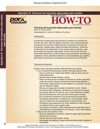 Manual de Destete a Engorda de PIC 
58 
Apéndice G: Técnicas de inyección adecuadas 
para cerdos 
Apéndice G: Técnicas de inyección adecuadas para cerdos 
Técnicas de Inyección Adecuadas para Cerdos 
Autor: Dr. Steve Larsen 
Examinadores: Dr. James D. McKean, Roy Henry 
Introducción 
Las técnicas inadecuadas de inyección le cuestan a la industria de 
la carne de cerdo miles de dólares cada año. Las consecuencias de 
una técnica de inyección inadecuada son reacciones en el sitio de 
la inyección, agujas rotas y falta de eficacia del producto. Todos los 
involucrados en el tratamiento de los cerdos deben entender y usar 
las técnicas de inyección adecuadas. Cada productor de carne de 
cerdo debe desarrollar un plan educativo para garantizar que todos los 
cuidadores de los animales entienden la responsabilidad que significa 
administrar inyecciones a animales para la producción de alimento. 
Técnicas de Inyección 
Existen cinco vías para inyectar medicamentos a los cerdos: 
1. En el músculo (intramuscular, también llamada inyección IM): 
• Use un punto en el cuello justo detrás y bajo la oreja, pero en 
frente del hombro. 
• Inyecte sólo en áreas limpias y secas. 
• Para una técnica que se salga el producto en cerdos pequeños, 
antes de inyectar empuje suavemente la piel hacia adelante o 
hacia atrás, luego deje que la piel regrese a su posición una vez 
que ha retirado la aguja. 
• No use una aguja para inyectar en el jamón o lomo. Podría 
producirse algún sangrado, hematoma y cicatriz en el músculo 
que podría manchar el corte de carne. Este estándar es válido 
para las hembras así como para los cerdos para mercado. 
• Si un productor considera el uso de técnicas de inyección o 
tecnologías alternativas, el veterinario y el empacador deben 
ayudar a determinar la aceptabilidad de esas técnicas. Las 
principales preocupaciones son evitar defectos en las carcasas 
y/o peligros físicos como agujas rotas. 
• Use agujas de tamaño y largo adecuado para garantizar que el 
medicamento es depositado en el músculo, y no en otros tejidos. 
2. Bajo la piel (Subcutáneo o SC): 
• Antes de depositar el producto, deslice la aguja bajo la piel lejos 
del sitio de la punción. 
• Inyecte sólo en áreas limpias, secas. 
• Use agujas de longitud y ángulo adecuado para evitar inyectar en 
el músculo. 
National Pork Board • PO Box 9114, Des Moines, IA 50306 • 515-223-2600 • pork.org 
©2009 National Pork Board, Des Moines, IA USA. This message funded by America’s Pork Checkoff Program. 
 