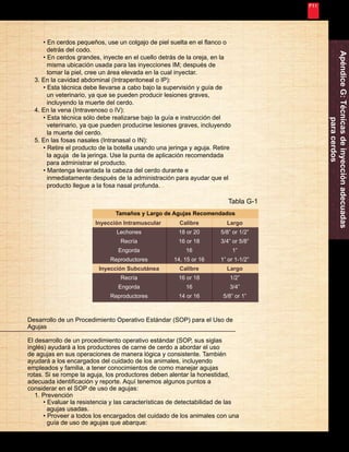 Nunca Deja de Mejorar 
59 
Tamaños y Largo de Agujas Recomendados 
Inyección Intramuscular 
Lechones 
Recría 
Engorda 
Reproductores 
Inyección Subcutánea 
Recría 
Engorda 
Reproductores 
Calibre 
18 or 20 
16 or 18 
16 
14, 15 or 16 
Calibre 
16 or 18 
16 
14 or 16 
Largo 
5/8” or 1/2” 
3/4” or 5/8” 
1” 
1” or 1-1/2” 
Largo 
1/2” 
3/4” 
5/8” or 1” 
Apéndice G: Técnicas de inyección adecuadas 
para cerdos 
• En cerdos pequeños, use un colgajo de piel suelta en el flanco o 
detrás del codo. 
• En cerdos grandes, inyecte en el cuello detrás de la oreja, en la 
misma ubicación usada para las inyecciones IM; después de 
tomar la piel, cree un área elevada en la cual inyectar. 
3. En la cavidad abdominal (Intraperitoneal o IP): 
• Esta técnica debe llevarse a cabo bajo la supervisión y guía de 
un veterinario, ya que se pueden producir lesiones graves, 
incluyendo la muerte del cerdo. 
4. En la vena (Intravenoso o IV): 
• Esta técnica sólo debe realizarse bajo la guía e instrucción del 
veterinario, ya que pueden producirse lesiones graves, incluyendo 
la muerte del cerdo. 
5. En las fosas nasales (Intranasal o IN): 
• Retire el producto de la botella usando una jeringa y aguja. Retire 
la aguja de la jeringa. Use la punta de aplicación recomendada 
para administrar el producto. 
• Mantenga levantada la cabeza del cerdo durante e 
inmediatamente después de la administración para ayudar que el 
producto llegue a la fosa nasal profunda. 
Tabla G-1 
Desarrollo de un Procedimiento Operativo Estándar (SOP) para el Uso de 
Agujas 
El desarrollo de un procedimiento operativo estándar (SOP, sus siglas 
inglés) ayudará a los productores de carne de cerdo a abordar el uso 
de agujas en sus operaciones de manera lógica y consistente. También 
ayudará a los encargados del cuidado de los animales, incluyendo 
empleados y familia, a tener conocimientos de como manejar agujas 
rotas. Si se rompe la aguja, los productores deben alentar la honestidad, 
adecuada identificación y reporte. Aquí tenemos algunos puntos a 
considerar en el SOP de uso de agujas: 
1. Prevención 
• Evaluar la resistencia y las características de detectabilidad de las 
agujas usadas. 
• Proveer a todos los encargados del cuidado de los animales con una 
guía de uso de agujas que abarque: 
 