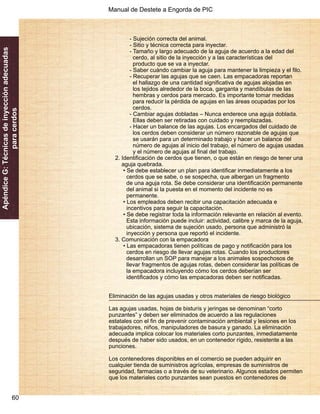 Manual de Destete a Engorda de PIC 
60 
Apéndice G: Técnicas de inyección adecuadas 
para cerdos 
- Sujeción correcta del animal. 
- Sitio y técnica correcta para inyectar. 
- Tamaño y largo adecuado de la aguja de acuerdo a la edad del 
cerdo, al sitio de la inyección y a las características del 
producto que se va a inyectar. 
- Saber cuándo cambiar la aguja para mantener la limpieza y el filo. 
- Recuperar las agujas que se caen. Las empacadoras reportan 
el hallazgo de una cantidad significativa de agujas alojadas en 
los tejidos alrededor de la boca, garganta y mandíbulas de las 
hembras y cerdos para mercado. Es importante tomar medidas 
para reducir la pérdida de agujas en las áreas ocupadas por los 
cerdos. 
- Cambiar agujas dobladas – Nunca enderece una aguja doblada. 
Ellas deben ser retiradas con cuidado y reemplazadas. 
- Hacer un balance de las agujas. Los encargados del cuidado de 
los cerdos deben considerar un número razonable de agujas que 
se usarán para un determinado trabajo y hacer un balance del 
número de agujas al inicio del trabajo, el número de agujas usadas 
y el número de agujas al final del trabajo. 
2. Identificación de cerdos que tienen, o que están en riesgo de tener una 
aguja quebrada. 
• Se debe establecer un plan para identificar inmediatamente a los 
cerdos que se sabe, o se sospecha, que albergan un fragmento 
de una aguja rota. Se debe considerar una identificación permanente 
del animal si la puesta en el momento del incidente no es 
permanente. 
• Los empleados deben recibir una capacitación adecuada e 
incentivos para seguir la capacitación. 
• Se debe registrar toda la información relevante en relación al evento. 
Esta información puede incluir: actividad, calibre y marca de la aguja, 
ubicación, sistema de sujeción usado, persona que administró la 
inyección y persona que reportó el incidente. 
3. Comunicación con la empacadora 
• Las empacadoras tienen políticas de pago y notificación para los 
cerdos en riesgo de llevar agujas rotas. Cuando los productores 
desarrollan un SOP para manejar a los animales sospechosos de 
llevar fragmentos de agujas rotas, deben considerar las políticas de 
la empacadora incluyendo cómo los cerdos deberían ser 
identificados y cómo las empacadoras deben ser notificadas. 
Eliminación de las agujas usadas y otros materiales de riesgo biológico 
Las agujas usadas, hojas de bisturís y jeringas se denominan “corto 
punzantes” y deben ser eliminados de acuerdo a las regulaciones 
estatales con el fin de prevenir contaminación ambiental y lesiones en los 
trabajadores, niños, manipuladores de basura y ganado. La eliminación 
adecuada implica colocar los materiales corto punzantes, inmediatamente 
después de haber sido usados, en un contenedor rígido, resistente a las 
punciones. 
Los contenedores disponibles en el comercio se pueden adquirir en 
cualquier tienda de suministros agrícolas, empresas de suministros de 
seguridad, farmacias o a través de su veterinario. Algunos estados permiten 
que los materiales corto punzantes sean puestos en contenedores de 
 