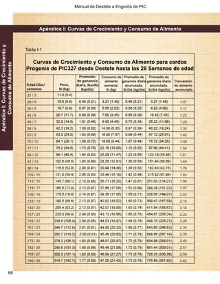 Manual de Destete a Engorda de PIC 
66 
Apéndice I: Curvas de Crecimiento y 
Consumo de Alimento 
Apéndice I: Curvas de Crecimiento y Consumo de Alimento 
Tabla I-1 
Curvas de Crecimiento y Consumo de Alimento para cerdos 
Progenie de PIC327 desde Destete hasta las 28 Semanas de edad 
 