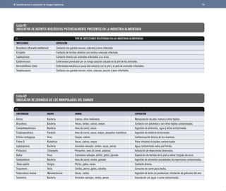 Identificación y evaluación de riesgos higiénicos 74 
Lista H1 
INDICATIVA DE AGENTES BIOLÓGICOS POTENCIALMENTE PRESENTES EN LA INDUSTRIA ALIMENTARIA 
TIPO DE INFECCIONES REGISTRADAS EN LAS INDUSTRIAS ALIMENTARIAS 
	INFECCIONES	 EXPOSICIÓN 
Brucelosis (Brucella melitensis)	 Contacto con ganado vacuno, cabruno y ovino infectado. 
Erisipela	 Contacto de heridas abiertas con cerdos y pescado infectado. 
Leptospirosis	 Contacto directo con animales infectados y su orina. 
Epidermicosis	 Enfermedad provocada por un hongo parásito situado en la piel de los animales. 
Dermatofitosis (tiña)	 Enfermedad micótica a causa del contacto con la piel y el pelo de animales infectados. 
Toxoplasmosis	 Contacto con ganado vacuno, ovino, cabruno, porcino y aves infectados. 
Lista H2 
INDICATIVA DE ZOONOSIS DE LOS MANIPULADOS DEL GANADO 
	ENFERMEDAD	 AGENTE	 ANIMAL	 EXPOSICIÓN 
Ántrax	 Bacteria	 Cabras, otros herbívoros	 Manipulación de pelo, huesos y otros tejidos. 
Brucelosis	 Bacteria	 Vacas, cerdos, cabras, ovejas	 Contacto con placentas y con otros tejidos contaminados. 
Campilobacteriosis	 Bacteria	 Aves de corral, vacas	 Ingestión de alimentos, agua y leche contaminada. 
Criptosporidiosis	 Parásito	 Aves de corral, vacas, ovejas, pequeños mamíferos	 Ingestión de estiércol de animales. 
Ectima contagioso	 Virus	 Ovejas, cabras	 Contaminación directa de las mucosas. 
Fiebre Q	 Rickettsia	 Vacas, cabras, ovejas	 Polvo inhalado de tejidos contaminados. 
Leptospirosis	 Bacteria	 Animales salvajes, cerdos, vacas, perros	 Agua contaminada sobre piel herida. 
Psitacosis	 Chlamydia	 Periquitos, aves de corral, palomas	 Inhalación de deyecciones desecadas. 
Rabia	 Virus	 Carnívoros salvajes, perros, gatos, ganado	 Exposición de heridas de la piel a saliva cargada de virus. 
Salmonelosis	 Bacteria	 Aves de corral, cerdos, ganado	 Ingestión de alimentos procedentes de organismos contaminados. 
Tinea capitis	 Hongos	 Perros, gatos, vacas 	 Contacto directo. 
Triquinosis	 Tenia	 Cerdos, perros, gatos, caballos	 Consumo de carne poco hecha. 
Tuberculosis bovina	 Mycobacterium	 Vacas, cerdos	 Ingestión de leche sin pasteurizar; inhalación de gotículas del aire. 
Tularemia	 Bacteria	 Animales salvajes, cerdos, perros	 Inoculación por agua o carne contaminada. 
 