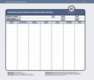 Identificación y evaluación de riesgos higiénicos 88 
EVALUACIÓN DE RIESGOS HIGIÉNICOS POR EXPOSICIÓN A AGENTES BIOLÓGICOS 
FICHA DE RIESGOS 
HIGIÉNICOS 
NOMBRE DE LA EMPRESA CCAE 
AGENTE 
BIOLÓGICO 
CLASIFICACIÓN 
GRUPO RD 664/1997 
FOCO DE 
ORIGEN 
CONDICIONES 
DE TRABAJO 
CCC NIF/CIF 
Agente biológico: identificado en la ficha H3. 
Clasificación grupo: 1, 2, 3 y/o 4 (véase el punto 3.2.2). 
Riesgos adicionales: alérgeno, tóxico, cancerígeno, etc. (véase el punto 3.2.3). 
Foco de origen: personas, animales, aguas residuales, etc. (véase el punto 3.2.4). 
Vías de entrada: inhalatoria, parenteral, dérmica, digestiva (una o diversas) (véase el punto 3.2.5). 
Condiciones de trabajo: adecuadas, deficientes (véase el punto 3.2.6). Entre paréntesis se pueden incluir las 
actuaciones concretas deficientes, codificadas según la numeración correspondiente de la tabla del punto 3.2.6. 
Nivel de riesgo: bajo, alto, indeterminado (véase el punto 3.2.7). 
RIESGOS 
ADICIONALES 
VÍA DE 
ENTRADA 
NIVEL DE 
RIESGO 
H6 
PUESTO DE TRABAJO, FECHA 
PROCESO, EQUIPO, OPERACIÓN 
CÓDIGO 
 