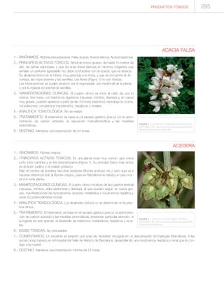 295PRODUCTOS TÓXICOS
ACACIA FALSA
1.- SINÓNIMOS. Robinia pseudoacacia, Falsa acacia, Acacia blanca, Acacia espinosa.
2.- PRINCIPIOS ACTIVOS TÓXICOS. Árbol de tronco grueso, de hasta 10 metros de
alto, de ramas espinosas, y que da unas flores blancas en racimos colgantes que
exhalan un perfume agradable. No debe confundirse con la acacia, que es atóxica.
Su alcaloide tóxico es la robina, muy parecida a la ricina, y que se encuentra en la
corteza, las hojas jóvenes y las semillas. Las flores (Figura 1) no son tóxicas.
Las intoxicaciones se suelen producir por el inapropiado uso medicinal de la planta,
o por la ingesta accidental de semillas.
3.- MANIFESTACIONES CLÍNICAS. El cuadro clínico se inicia al cabo de, por lo
menos, tres horas, con trastornos digestivos (náuseas, vómitos, diarreas) y, en casos
muy graves, pueden aparecer a partir de las 24 horas trastornos neurológicos (coma,
convulsiones), circulatorios (hipotensión), hepáticos y renales.
4.- ANALITICA TOXICOLÓGICA. No se realiza
5.- TRATAMIENTO. El tratamiento se basa en el vaciado gástrico precoz y/o la admi-
nistración de carbón activado, la reposición hidroelectrolítica y las medidas
sintomáticas.
6.- DESTINO. Mantener una observación de 24 horas.
ACEDERA
1.- SINÓNIMOS. Rumex crispus.
2.- PRINCIPIOS ACTIVOS TÓXICOS. Es una planta vivaz muy común, que crece
junto a los caminos y en los descampados (Figura 1). Su principio tóxico más activo
es el ácido oxálico y el oxalato potásico.
Bajo el nombre de acedera hay otras especies (Rumex acetosa, etc.), pero aquí va a
hacerse referencia sólo al Rumex crispus, pues en Barcelona ha habido un caso mor-
tal con esta planta.
3.- MANIFESTACIONES CLÍNICAS. El cuadro clínico inicial es de tipo gastrointestinal
(náuseas, vómitos, dolor abdominal y diarreas), al que pueden seguir, en casos gra-
ves, manifestaciones de hipocalcemia, acidosis metabólica e insuficiencia hepática y
renal. Es potencialmente mortal.
4.- ANALITICA TOXICOLÓGICA. Los alcaloides tóxicos no se determinan en la prác-
tica clínica.
5.- TRATAMIENTO. El tratamiento se basa en el vaciado gástrico precoz, la administra-
ción de carbón activado y las medidas sintomáticas, prestando particular atención, si
la ingesta ha sido grande, al desarrollo de trastornos metabólicos, hepáticos y rena-
les.
6.- DOSIS TÓXICAS. No precisables
7.- COMENTARIOS. Un paciente se preparó una sopa de “acedera” recogida en un descampado de Esplugas (Barcelona). A las
pocas horas ingresó en el Hospital del Valle de Hebrón de Barcelona, desarrollando una insuficiencia hepática y renal que le con-
dujo a la muerte.
8.- DESTINO. Mantener una observación mínima de 24 horas.
FIGURA 1.- FLORES DE LA ROBINIA PSEUDOACACIA.
DISPONIBLE EN: http://commons.wikimedia.org/wiki/File:
Robinia_Pseudoacacia_flower.JPG
FIGURA 1.- DETALLE DE UNA RUMEX CRISPUS.
DISPONIBLE EN: http://commons.wikimedia.org/wiki/File:
RumexCrispusValven.jpg
 