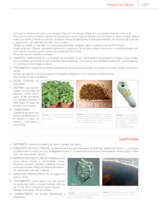 Manual de toxicologia